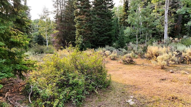 DJI_20250726184045_0234_D