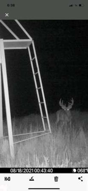 pulse-image-1658112825999