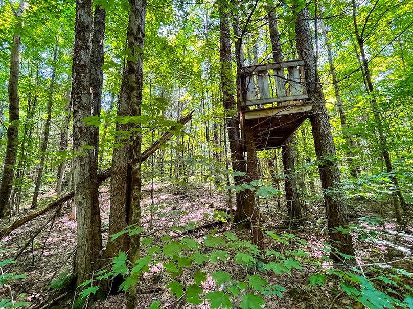 Oswego_20_Eck Photo 44