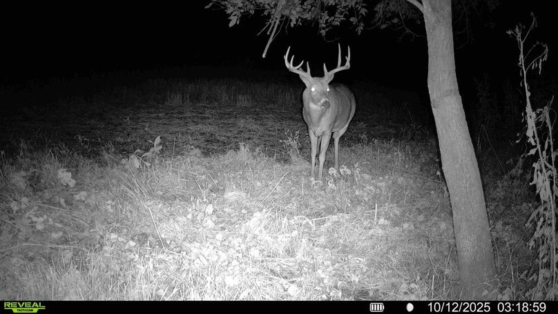 016579009302899-100-3-10122025085925-HD-SYFW00165