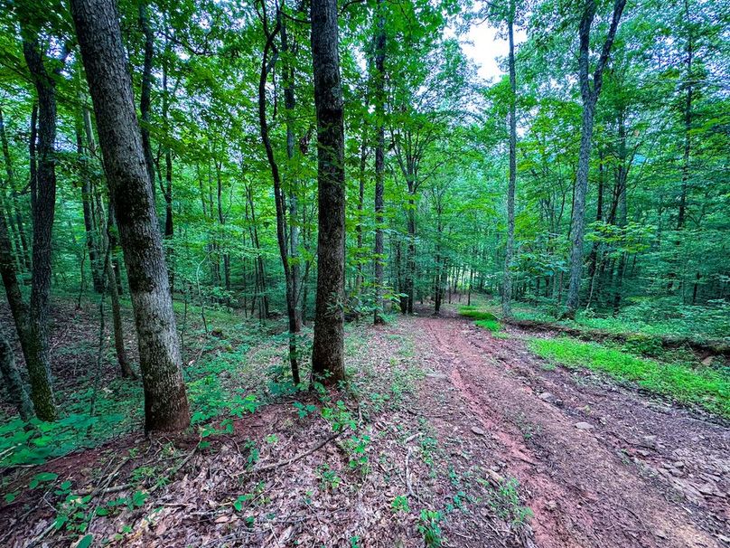 Tyler, WV 46 Lemasters -16