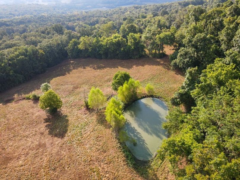 dji_fly_20250826_083800_691_1756215492671_photo