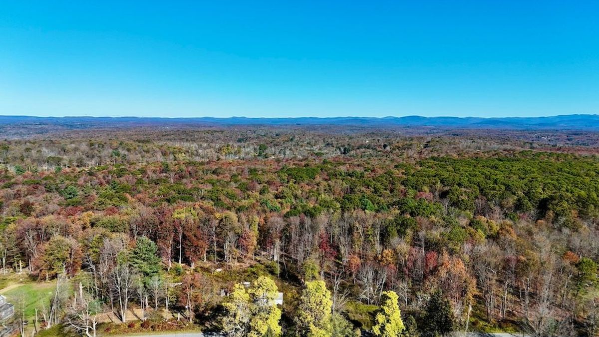 Wooded Country Lot With Endless Potential | Whitetail Properties