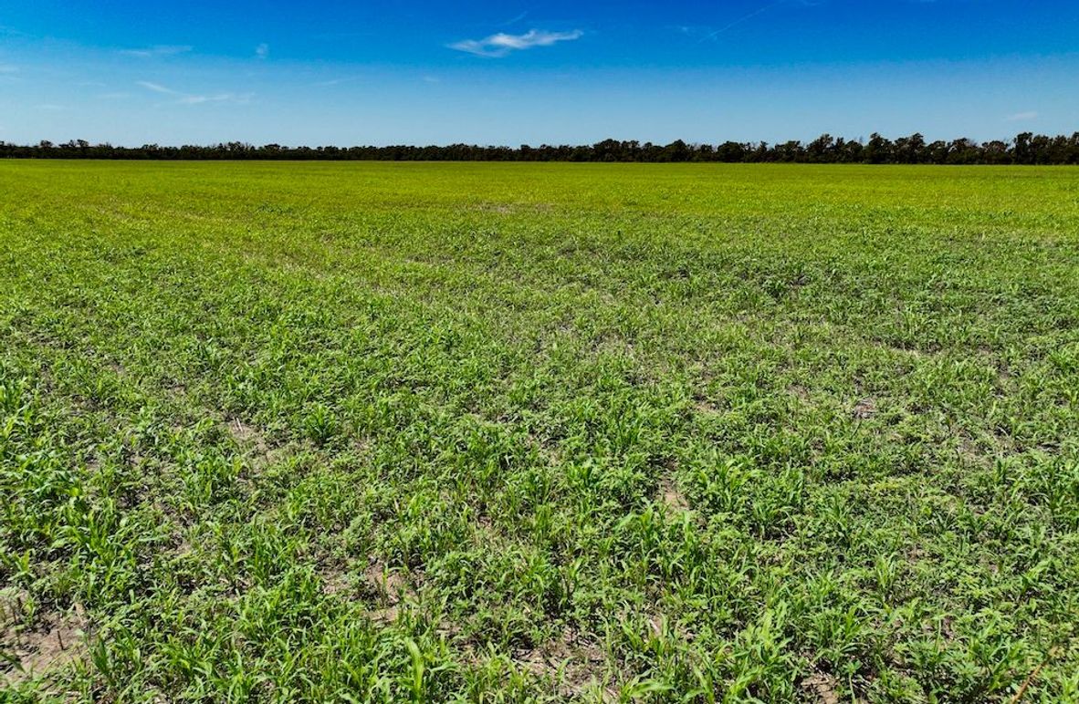 Saline Co, 78.45_004