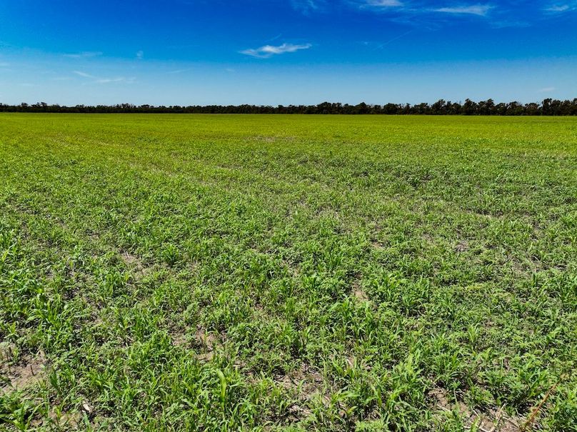 Saline Co, 78.45_004