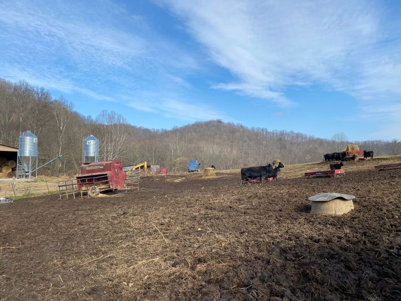 059 actively farming some very healthy livestock copy