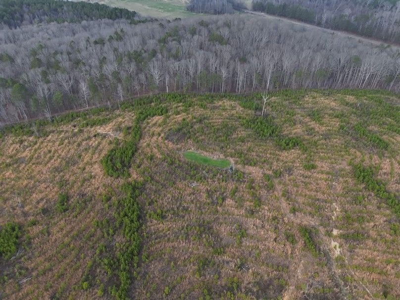 DJI_20260303144636_0010_V