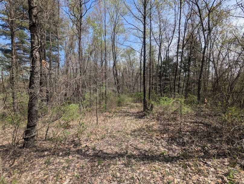 PXL_20250422_165725050