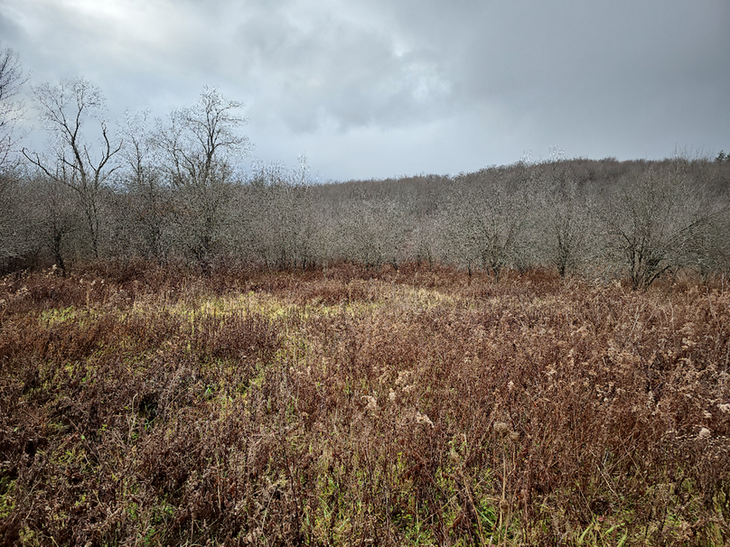 photo_6fa2495c-0ab7-45c8-b0a2-e52060ea9d86