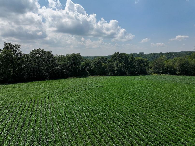 Olmsted 42.63 New-09