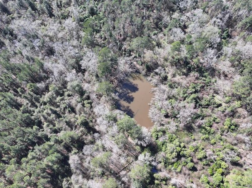 dji_fly_20260224_113244_0324_1772209049938_photo