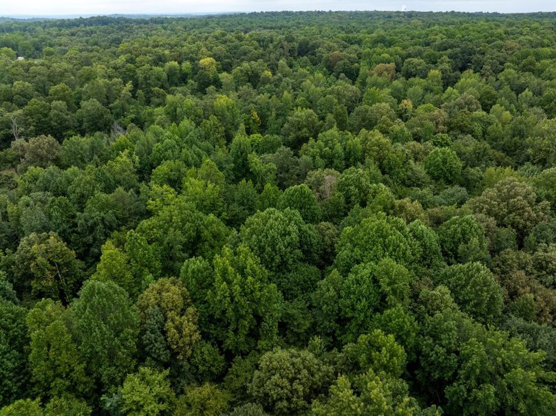 DJI_20240805045624_0947_D