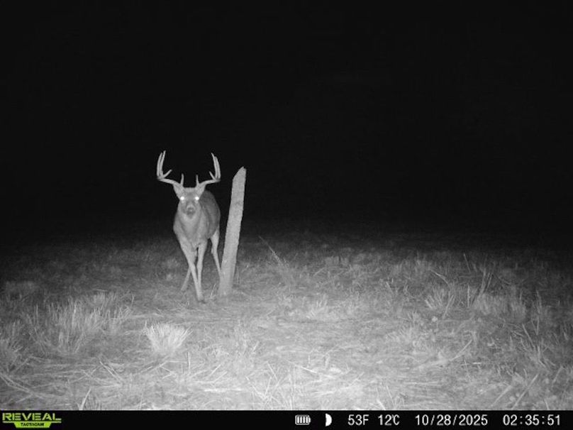 860322062100349-100-3-10282025023550-V-W1003002