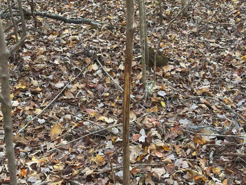 Jeff 11720251111_0210