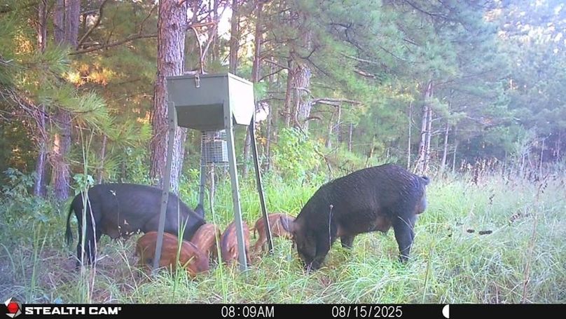 8 533858387_10162186104104830_3606146684375755239_n