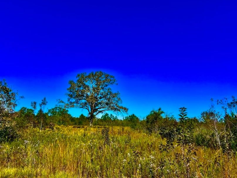 538888A5-C073-42A3-9746-1BF011BECC38_1_105_c