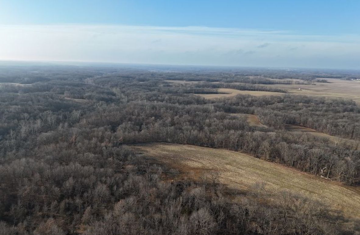 DJI_20240203091459_0117_D