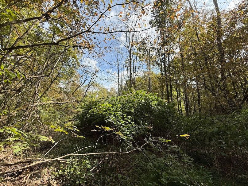 Tioga_30_Flanner Photo 29