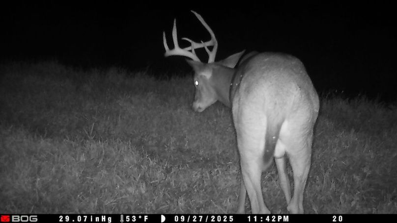 TRAIL CAM 2