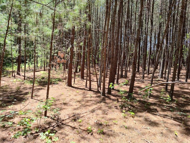 IMG_20250524_122038748_HDR