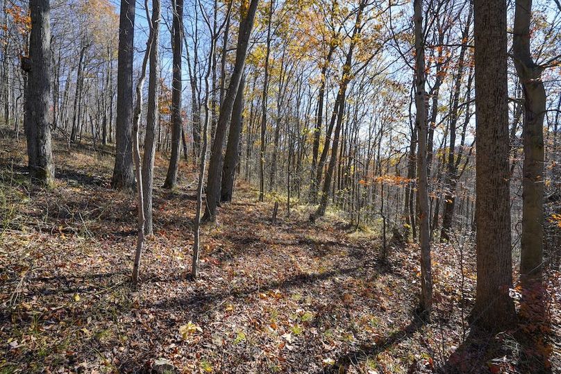 Somerset, 10.91, Tinkey-17