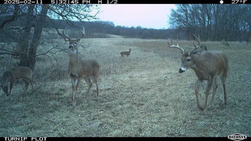 Copy of Copy of 1-5505585579