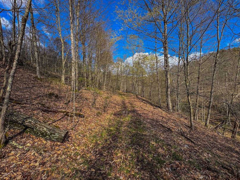 Wirt, WV 156.941 AC Full-26