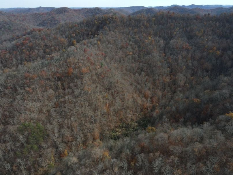 009 Bird_s view of the South Facing Slope