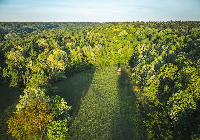 DJI_20250506064526_0129_D