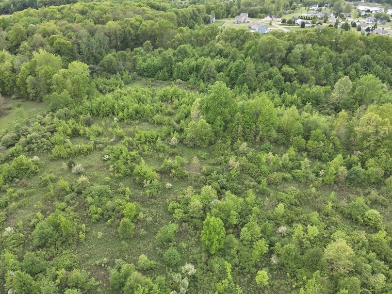 DJI_20250520063710_0007_V