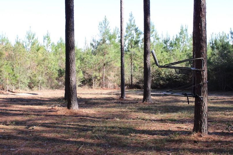 084A5F07-8736-4117-AEF3-7883ED56C0D9