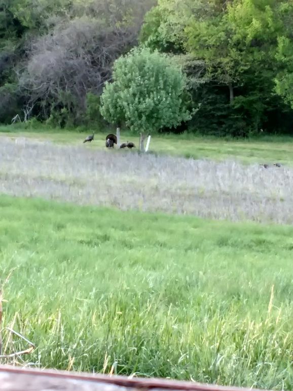 IMG_20180428_191542722_HDR