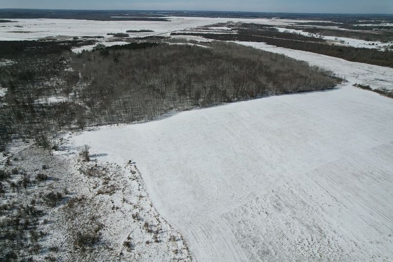 dji_fly_20260311_115148_102_1773248436647_photo (1)