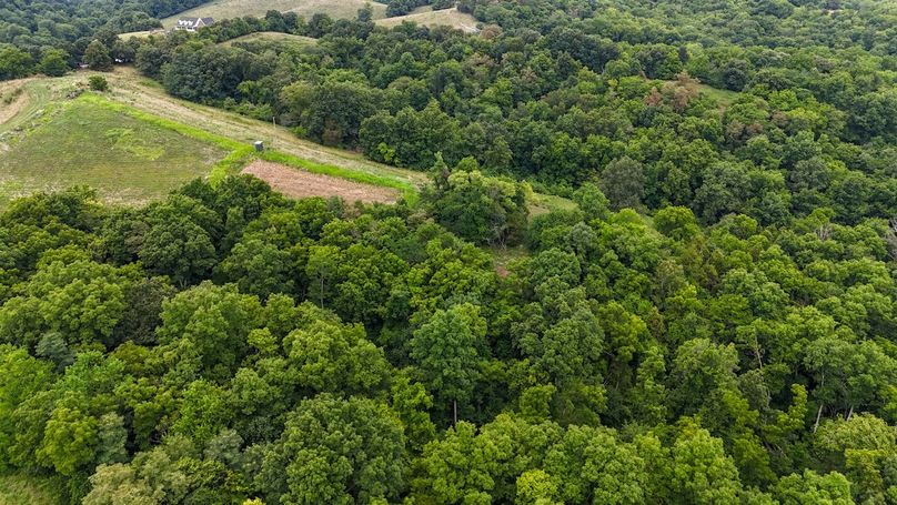 DJI_20240708124030_0014_D