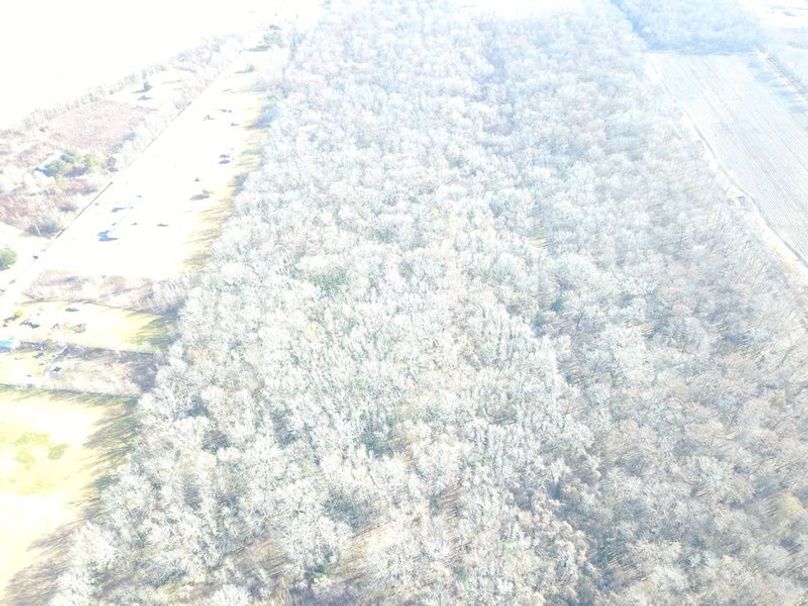 DJI_0018
