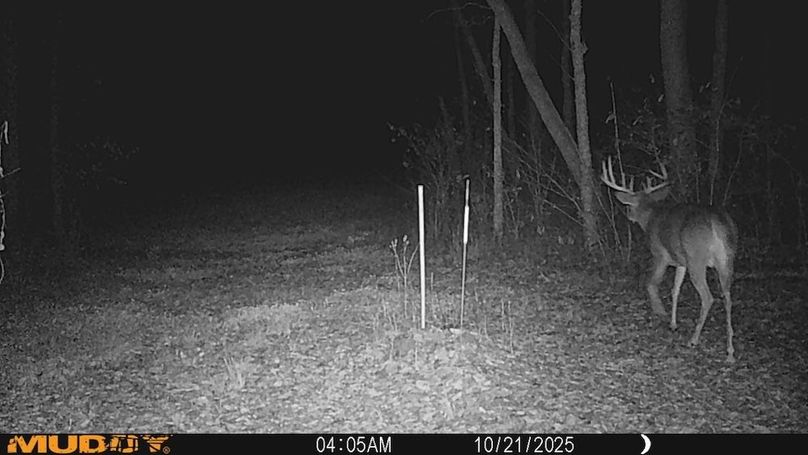 7(16)