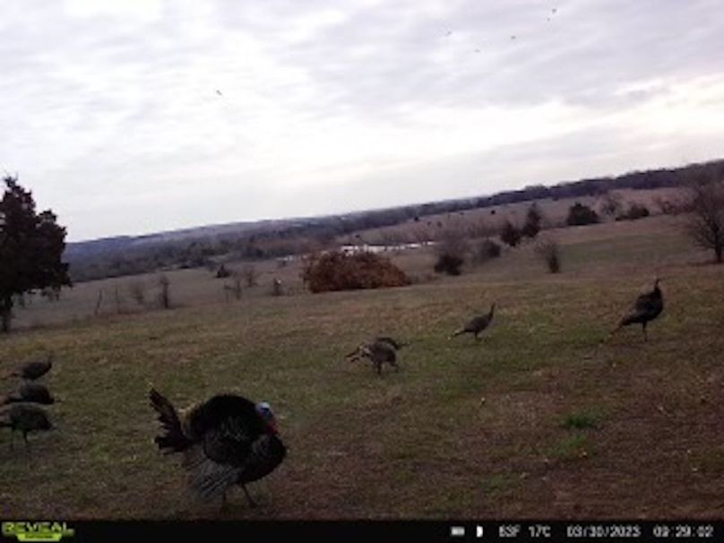 b33644b9-e526-41a9-ba88-f6090c3e51c1