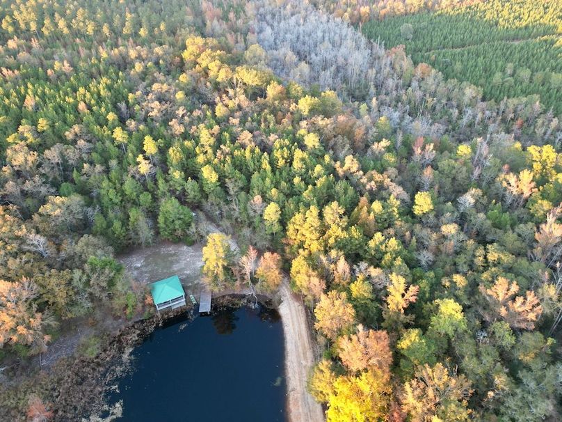 dji_fly_20251103_173034_400_1762260554948_photo