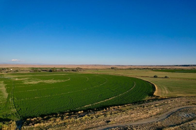 169EA8D6-69E8-4814-B10D-2356999B6724_1_105_c