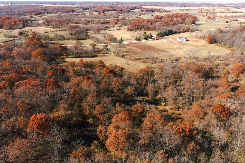 DJI_20251116124531_0169_D