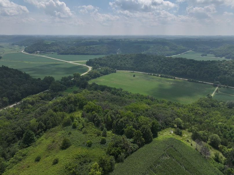 Goodhue 78.81 New -13