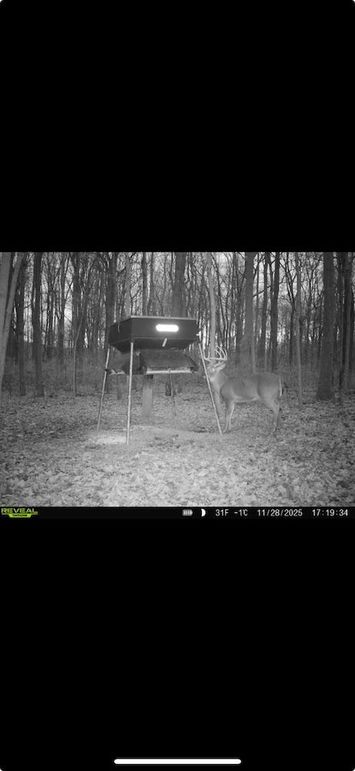 Screenshot 2026-01-09 at 12.36.53 PM