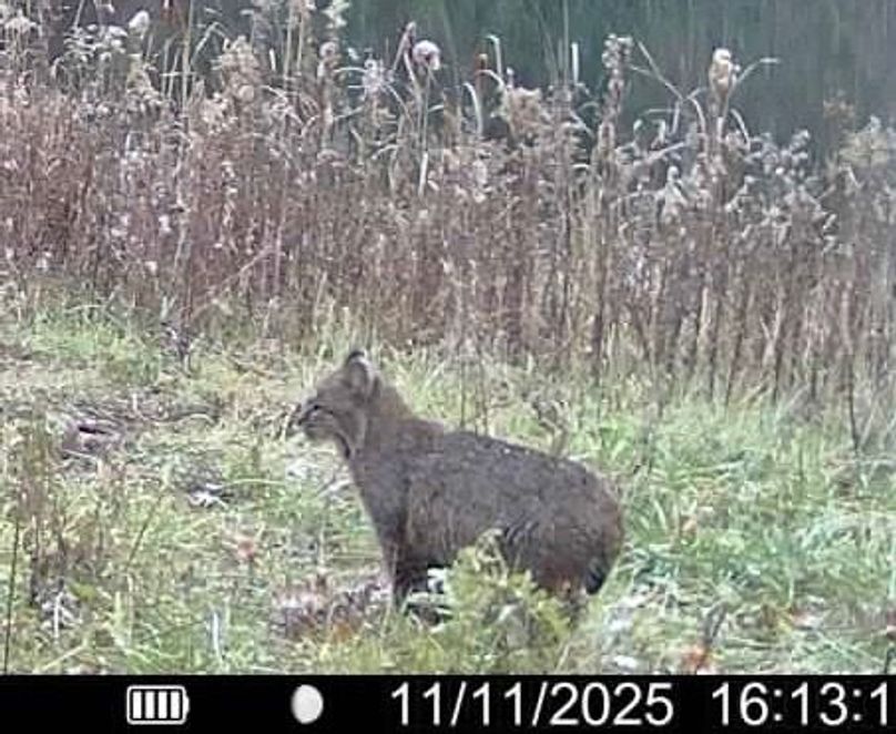 016578002557525-100-2-11112025161312-SYFW05144 (1)