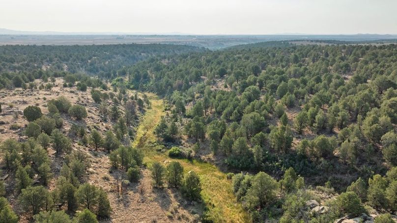 DJI_0628_1
