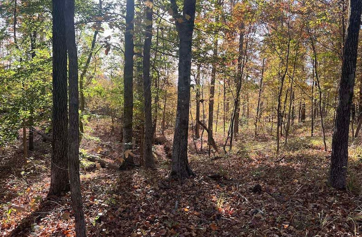 Jeff 11720251111_0182