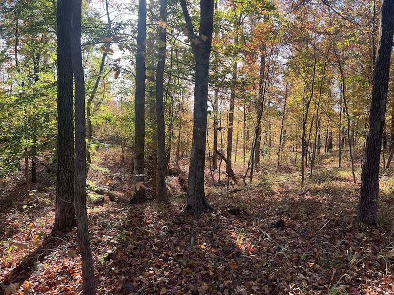 Jeff 11720251111_0182