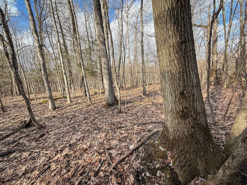 Chemung_59.65_Kocsis_photos_35