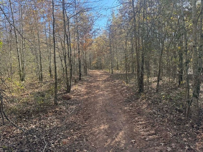 1a1 jeff 8320251111_0268