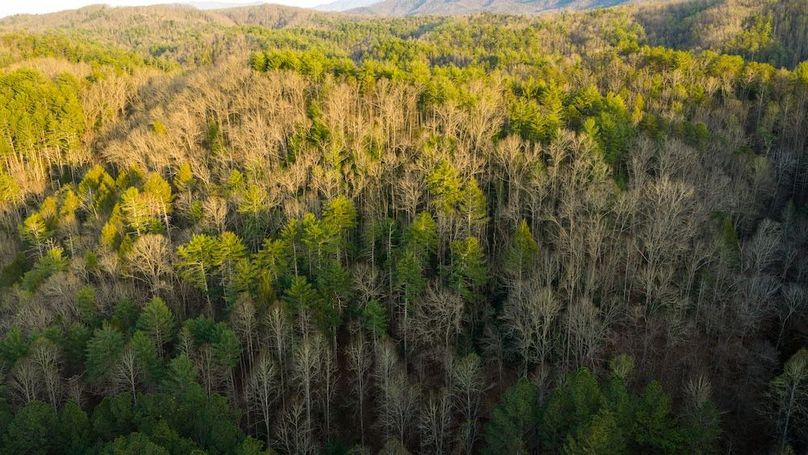 Sevier TN 77.63 Featured_Pro Photo-17