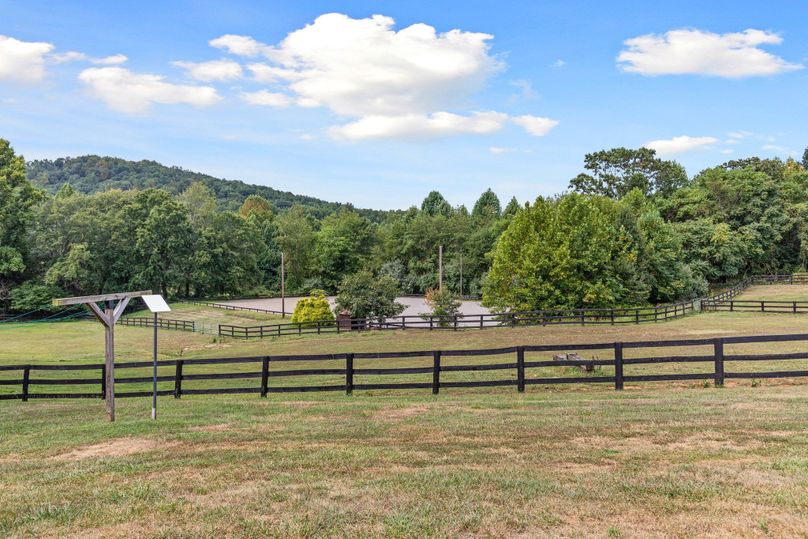 47-web-or-mls-BY1A2343